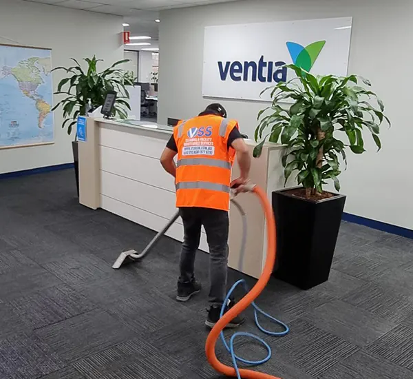 Carpet Cleaning