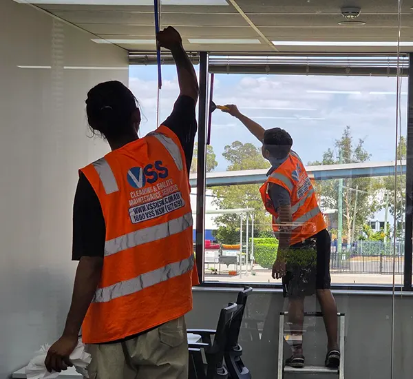 Window Cleaning