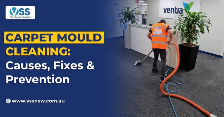 carpet mould cleaning